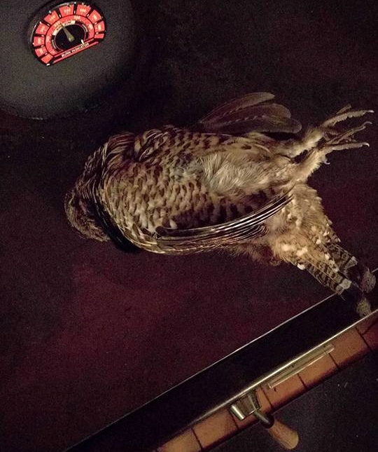 23379844_10155641515941211_8997307835250910651_n